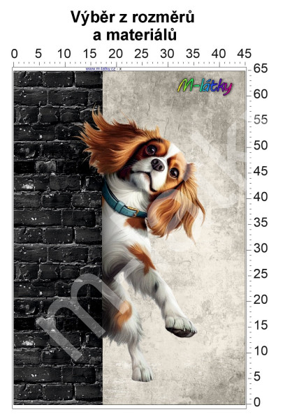 Panel  - výběr z rozměrů - květy (1)