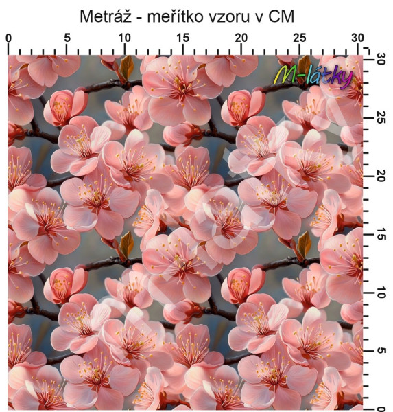 Vzor - sakura (1)