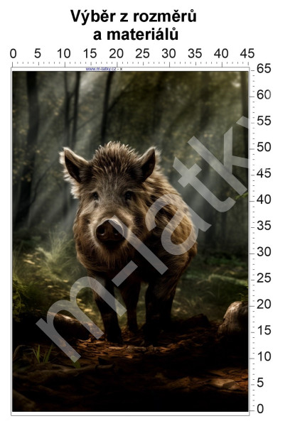 Panel  - výběr z rozměrů - mainská mývalí kočka (1)