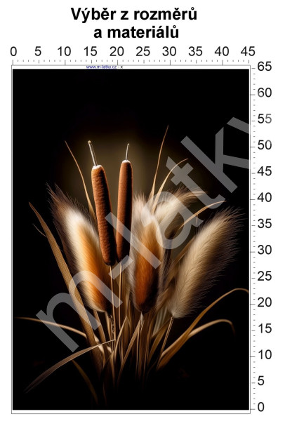 Panel  - výběr z rozměrů - Mainský mývalí kocour (1)