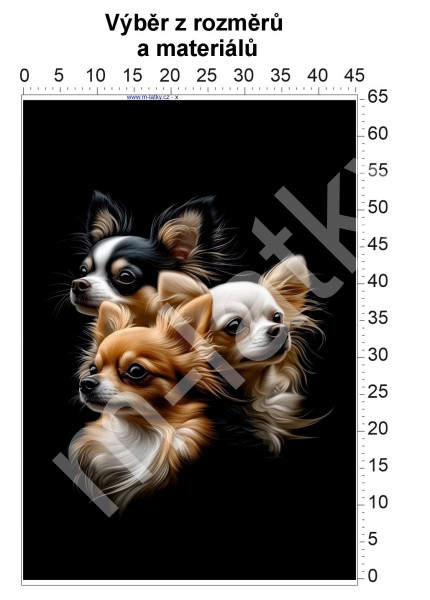 Panel - výběr z rozměrů - růže (2)