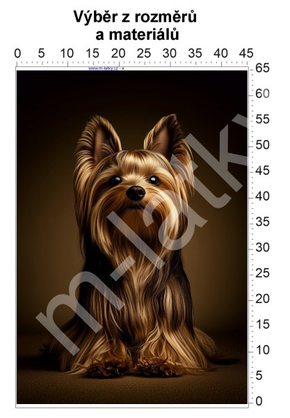 Panel - výběr z rozměrů - červené auto (1)