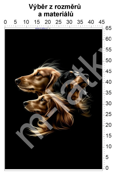 Panel - výběr z rozměrů - dívka s cope, (1)