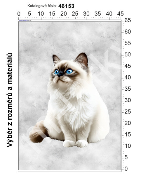 Panel - výběr z rozměrů - venkovský dům (1)