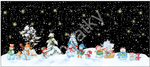 Panel  60 x 70 cm počesaná teplákovina - černá kočka III (1)