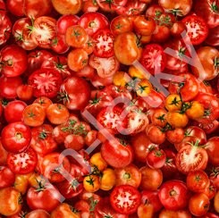 Fresh - chilly papričky - 28464 - J (1)
