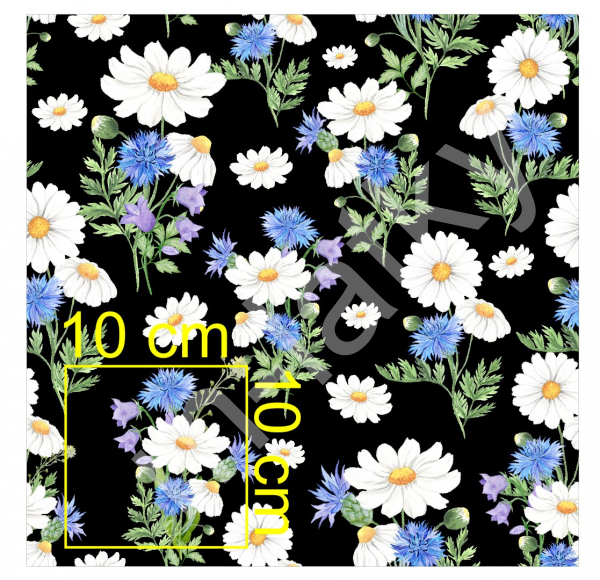 Vzor  - kopretiny - chrpy (1)