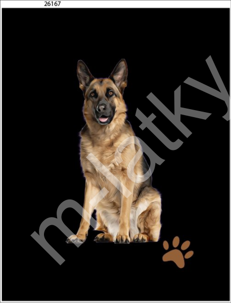 Panel  35 x 45 cm  - Německý ovčák (1)