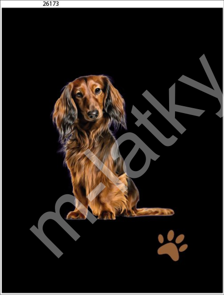 Panel  35 x 45 cm  - Kokršpaněl (1)