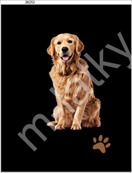 Panel  35 x 45 cm  - Bígl (1)