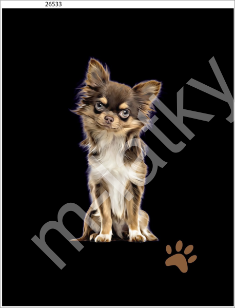 Panel  35 x 45 cm  - Čivava (1)