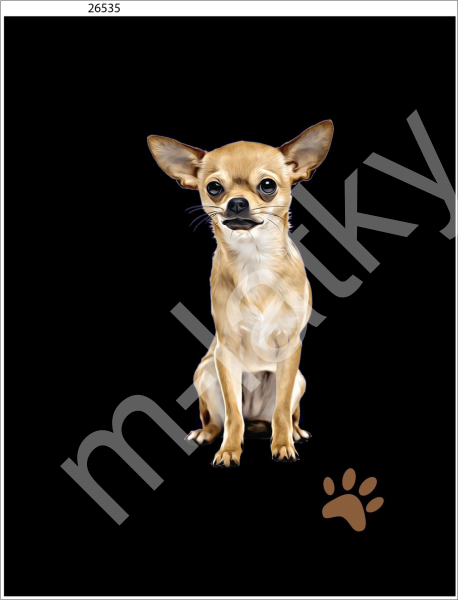 Panel  35 x 45 cm  - Čivava II (1)