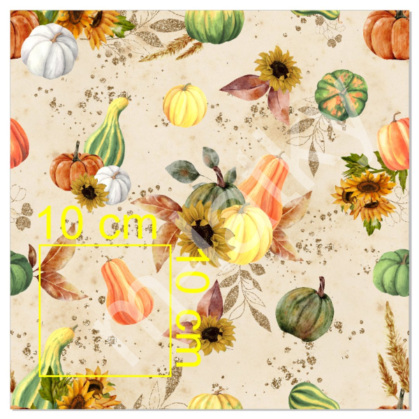 Vzor  - dýně (slunečnice, listy, podzim) (1)