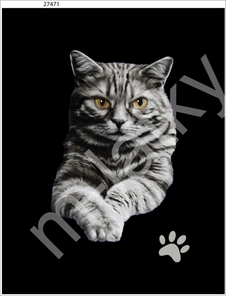 Panel  35 x 45 cm  - Myš (1)