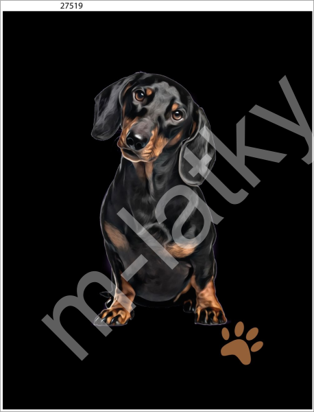 Panel  35 x 45 cm  - Jezevčík II (1)