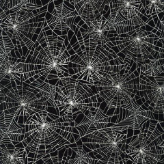 PA Americké plátno - Raven Moon 100% bavlna 18486-2