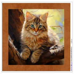 OB Panel k ušití  - dekorativní polštář - kočka výběr z variant