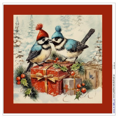 OB Panel k ušití  - dekorativní polštář - vánoční ptáčci výběr z variant