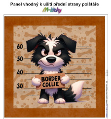OB Panel k ušití  - dekorativní polštář - Border kolie výběr z variant