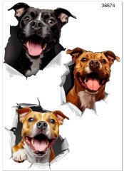 MOB Nažehlovačky - velikost archu A4 - STAFFORDSHIRE BULL TERRIER