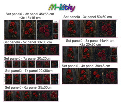 Set panelů dle výběru - kočky (2)