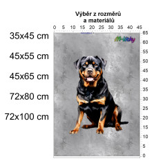 MOB Panel - výběr z rozměrů - Rotvajler Materiál - výběr z variant