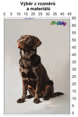 OB Panel - výběr z rozměrů - Hnědý labrador Materiál - výběr z variant