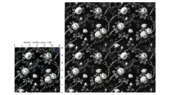 Vzor - Black & white růže (1)