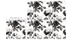 Vzor - Black & white růže (2)