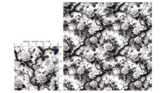 Vzor - Black & white růže (1)