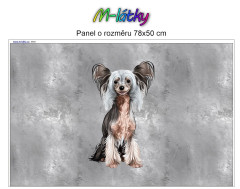 OB Panel o rozměru cca 78x50 cm (podložka, pelíšek) - Čínský chocholatý Kočárkovina