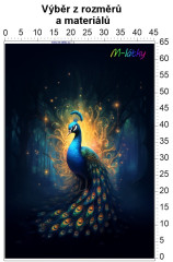 OB Panel bez střihu - Páv tisk na objednávku výběr z rozměrů a materiálů