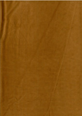 O Potahová velurová látka Kate okrová