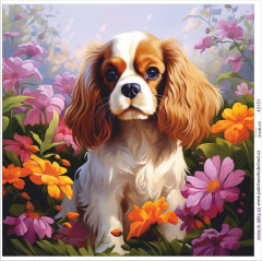 KOB Panel k ušití  - dekorativní polštář - Kavalír king Charles španěl výběr z variant