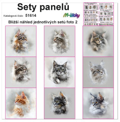 MOB Set panelů dle výběru - mainská mývalí kočka (kočky) na objednávku - výběr z rozměrů a materiálů - vzhled jednotlivých setů foto 2