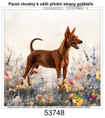 MOB Panel k ušití  - dekorativní polštář - trpasličí pinč výběr z variant