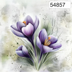 OB Panel čtvercový jarní kolekce krokusy výběr z rozměrů a materiálů – tisk na objednávku