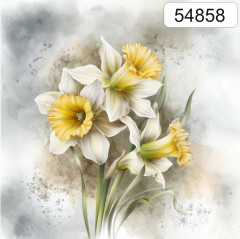 OB Panel čtvercový jarní kolekce narcisy výběr z rozměrů a materiálů – tisk na objednávku