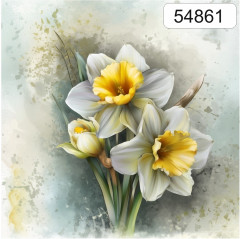 OB Panel čtvercový jarní kolekce narcisy výběr z rozměrů a materiálů – tisk na objednávku