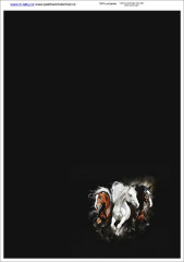 MOB Panel  o rozměru 25x35 cm - vhodný na ušití peněženky - koně výběr z variant materiálu - vlastní sublimační tisk na objednávku