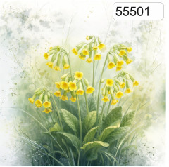 OB Panel čtvercový jarní kolekce prvosenka jarní (petrklíč) výběr z rozměrů a materiálů – tisk na objednávku