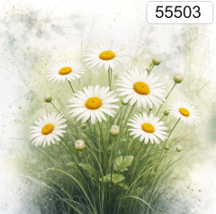 OB Panel čtvercový jarní kolekce kopretiny výběr z rozměrů a materiálů – tisk na objednávku