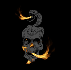 OB Panel polštář - lebka Broušené mikrovlákno (velur) - rozměr tisku cca 44x44 cm - panel k ušití