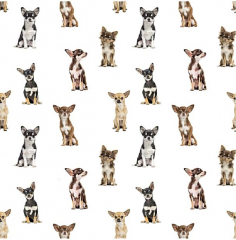 OB Čivava 12 náš tisk na objednávku – výběr z materiálů