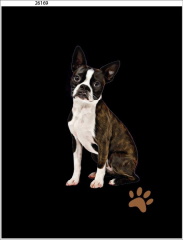 OB Panel  35 x 45 cm  - Bostonský teriér Materiál - výběr z variant