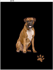 OB Panel  35 x 45 cm  - Boxer 1 ks Materiál - výběr z variant