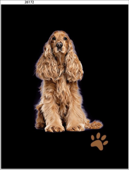 OB Panel  35 x 45 cm  - Kokršpaněl Materiál - výběr z variant