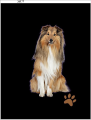 OB Panel  35 x 45 cm  - Šeltie II Materiál - výběr z variant