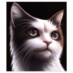 OB Panel  35-39 x 45 cm (více v popisu produktu) - kočka Materiál - výběr z variant