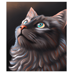 OB Panel  35-39 x 45 cm (více v popisu produktu) - kočka Materiál - výběr z variant